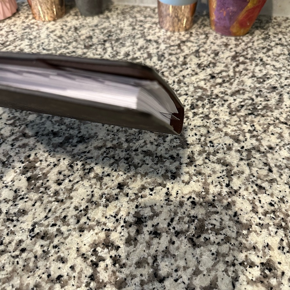 Louis Vuitton Desk Agenda - Picture 6 of 14